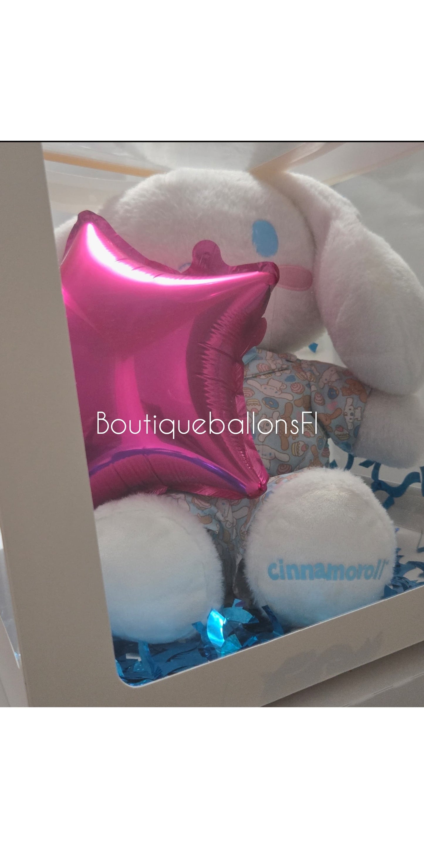 Peluche cinamorrol